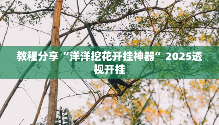 教程分享“洋洋挖花开挂神器”2025透视开挂