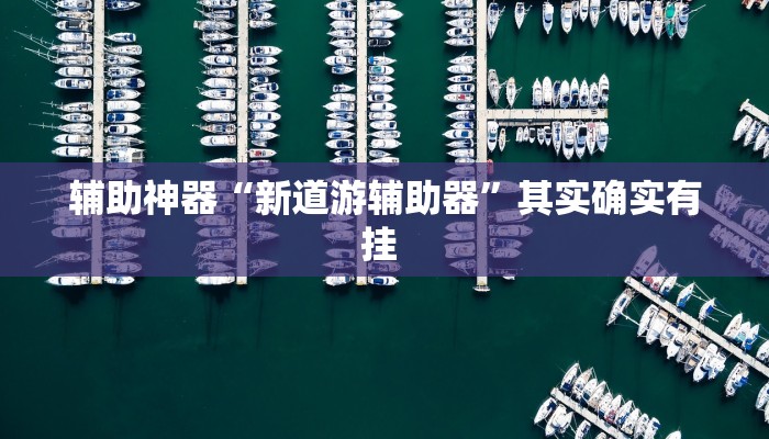 辅助神器“新道游辅助器”其实确实有挂 辅助神器“新道游辅助器”其实确实有挂
