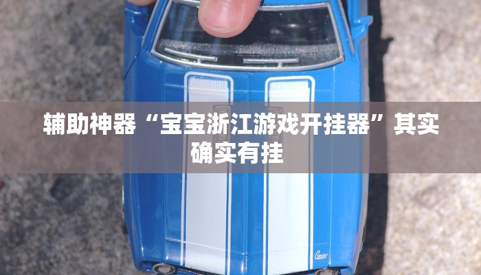 辅助神器“宝宝浙江游戏开挂器”其实确实有挂 