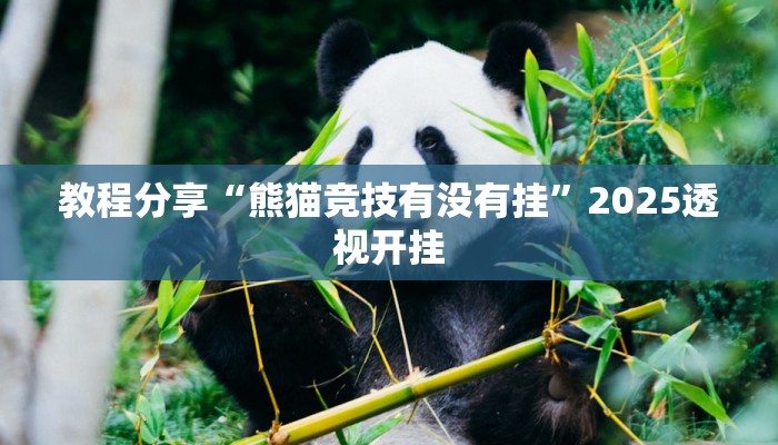 教程分享“熊猫竞技有没有挂”2025透视开挂