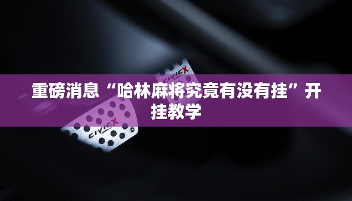 重磅消息“哈林麻将究竟有没有挂”开挂教学