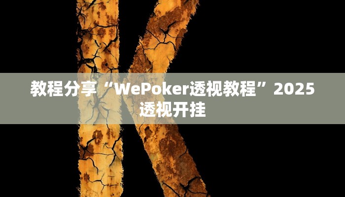 教程分享“WePoker透视教程”2025透视开挂