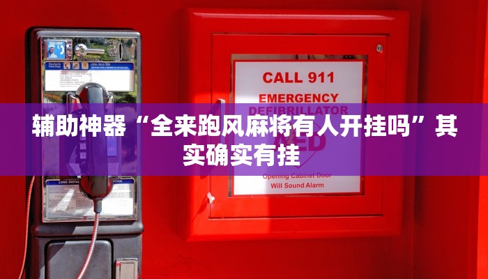 辅助神器“全来跑风麻将有人开挂吗”其实确实有挂 