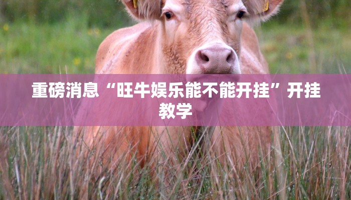 重磅消息“旺牛娱乐能不能开挂”开挂教学 重磅消息“旺牛娱乐能不能开挂”开挂教学