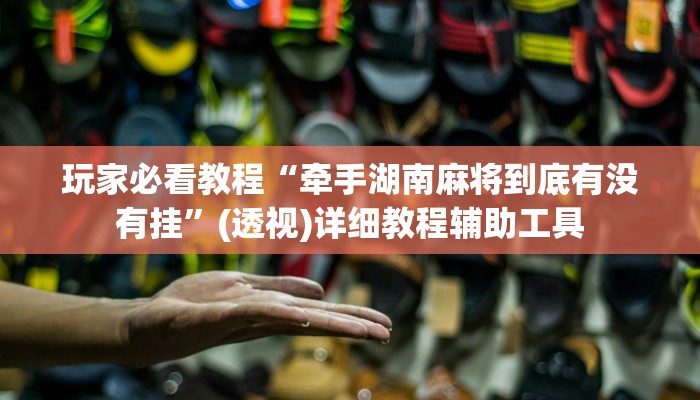 玩家必看教程“牵手湖南麻将到底有没有挂”(透视)详细教程辅助工具