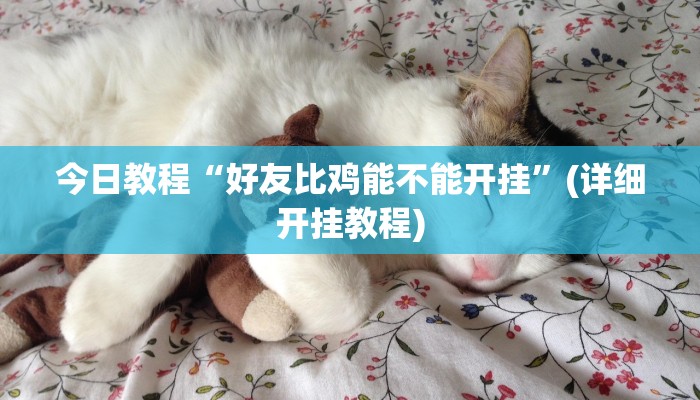 今日教程“好友比鸡能不能开挂”(详细开挂教程)