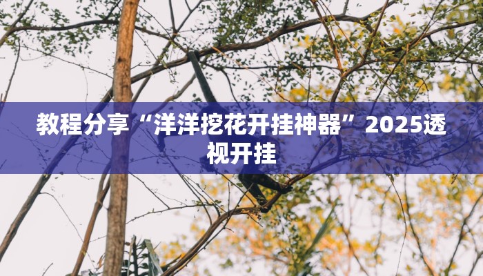 教程分享“洋洋挖花开挂神器”2025透视开挂