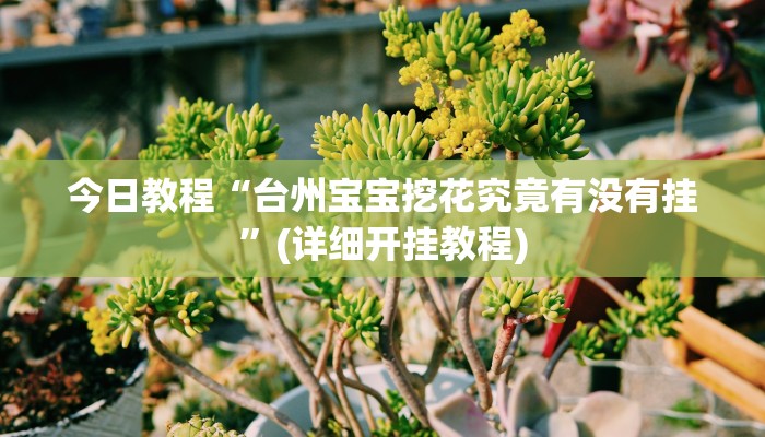 今日教程“台州宝宝挖花究竟有没有挂”(详细开挂教程) 今日教程“台州宝宝挖花究竟有没有挂”(详细开挂教程)